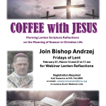 Screenshot 2026-02-20 at 12.19.11 PM