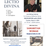 Screenshot 2026-02-20 at 12.19.33 PM