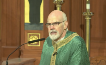Fr. Patrick Flanagan’s Homily for the Twentieth Sunday in Ordinary Time